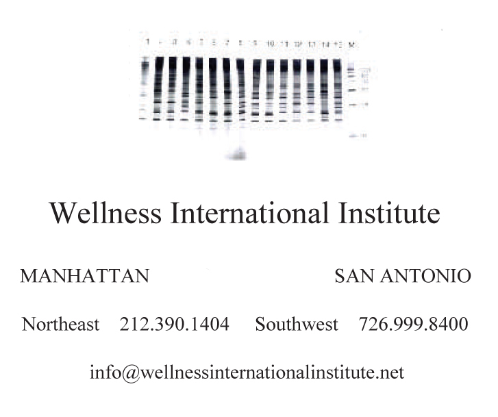 wellness-international_print